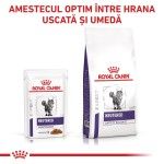 ROYAL CANIN Neutered Maintenance, dieta veterinara pisici, managementul greutatii, 12x85 g (Diete Veterinare - Pisici)