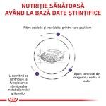 ROYAL CANIN Neutered Satiety Balance, dieta veterinara pisici, managementul greutatii, 3.5 kg (Diete Veterinare - Pisici)