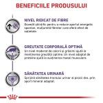 ROYAL CANIN Neutered Satiety Balance, dieta veterinara pisici, managementul greutatii, 1.5 kg (Diete Veterinare - Pisici)