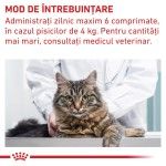 ROYAL CANIN Pill Assist Cat, supliment functional veterinar pisici, 45 g (Diete Veterinare - Pisici)