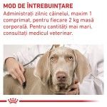 ROYAL CANIN Pill Assist Small Dog, supliment functional veterinar caini, 90 g (Diete Veterinare - Caini)