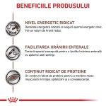 ROYAL CANIN Recovery, dieta veterinara caini si pisici, convalescenta, 195 g (Diete Veterinare - Pisici)