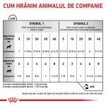 ROYAL CANIN Recovery, dieta veterinara caini si pisici, convalescenta, 195 g (Diete Veterinare - Pisici)