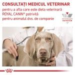 ROYAL CANIN Recovery, dieta veterinara caini si pisici, convalescenta, 195 g (Diete Veterinare - Pisici)