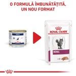 ROYAL CANIN Renal Loaf, dieta veterinara pisici, sistem renal, (pate), 12x85 g (Diete Veterinare - Pisici)