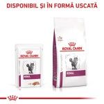 ROYAL CANIN Renal Loaf, dieta veterinara pisici, sistem renal, (pate), 12x85 g (Diete Veterinare - Pisici)
