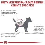 ROYAL CANIN Renal Small Dog, XS-S, dieta veterinara, hrana uscata caini, sistem renal, 3 kg (Diete Veterinare - Caini)