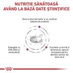 ROYAL CANIN Renal Small Dog, XS-S, dieta veterinara, hrana uscata caini, sistem renal, 1.5 kg (Diete Veterinare - Caini)