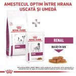 ROYAL CANIN Renal Small Dog, XS-S, dieta veterinara, hrana uscata caini, sistem renal, 3 kg (Diete Veterinare - Caini)