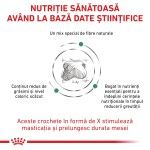 ROYAL CANIN Satiety, XS-XL, dieta veterinara, hrana uscata caini, obezitate, 6 kg (Diete Veterinare - Caini)