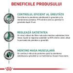 ROYAL CANIN Satiety, XS-XL, dieta veterinara, hrana uscata caini, obezitate, 6 kg (Diete Veterinare - Caini)