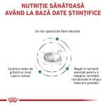ROYAL CANIN Satiety Weight Management, dieta veterinara pisici, obezitate, 3.5 kg (Diete Veterinare - Pisici)