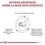 ROYAL CANIN Satiety Small Dog, XS-S, dieta veterinara, hrana uscata caini, obezitate, 1.5 kg (Diete Veterinare - Caini)