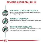ROYAL CANIN Satiety Weight Management, dieta veterinara pisici, obezitate, (in sos), 12x85 g (Diete Veterinare - Pisici)