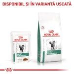 ROYAL CANIN Satiety Weight Management, dieta veterinara pisici, obezitate, (in sos), 12x85 g (Diete Veterinare - Pisici)