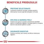 ROYAL CANIN Sensitivity Control, dieta veterinara pisici, afectiuni dermatologice, 12x85 g (Diete Veterinare - Pisici)