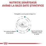 ROYAL CANIN Skin & Coat, formula veterinara pisici, afectiuni dermatologice, 1.5 kg (Diete Veterinare - Pisici)