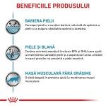 ROYAL CANIN Skin & Coat, formula veterinara pisici, afectiuni dermatologice, 1.5 kg (Diete Veterinare - Pisici)
