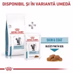 ROYAL CANIN Skin & Coat, formula veterinara pisici, afectiuni dermatologice, 1.5 kg (Diete Veterinare - Pisici)