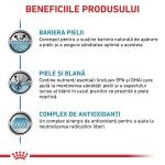 ROYAL CANIN Skin & Coat, dieta veterinara pisici, afectiuni dermatologice, 12x85 g (Diete Veterinare - Pisici)