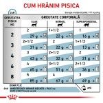 ROYAL CANIN Skin & Coat, dieta veterinara pisici, afectiuni dermatologice, 12x85 g (Diete Veterinare - Pisici)