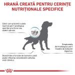 ROYAL CANIN Skin Care, XS-XL, dieta veterinara, hrana uscata caini, afectiuni dermatologice, 2 kg (Diete Veterinare - Caini)