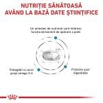 ROYAL CANIN Skin Care, XS-XL, dieta veterinara, hrana uscata caini, afectiuni dermatologice, 2 kg (Diete Veterinare - Caini)