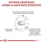 ROYAL CANIN Skin Care Small Dog, dieta veterinara, hrana uscata caini, afectiuni dermatologice, 4 kg (Diete Veterinare - Caini)