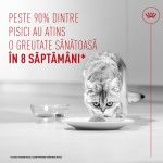 ROYAL CANIN Airlift Mousse Light Weight, hrana umeda pisici, 85 g (Hrana Umeda - Pisici)