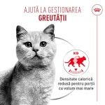 ROYAL CANIN Airlift Mousse Light Weight, hrana umeda pisici, 85 g (Hrana Umeda - Pisici)