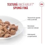 ROYAL CANIN Airlift Mousse Light Weight, hrana umeda pisici, 85 g (Hrana Umeda - Pisici)