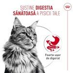 ROYAL CANIN Airlift Mousse Digestive Care, hrana umeda pisici, 85 g (Hrana Umeda - Pisici)