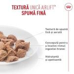 ROYAL CANIN Airlift Mousse Digestive Care, hrana umeda pisici, 85 g (Hrana Umeda - Pisici)