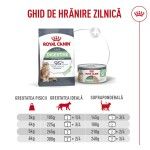 ROYAL CANIN Airlift Mousse Digestive Care, hrana umeda pisici, 85 g (Hrana Umeda - Pisici)