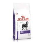 Royal Canin Adult Large Dog 13 kg - sac