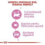 Royal Canin Babycat 400 g