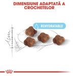 Royal Canin Babycat 400 g
