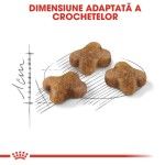 Royal Canin Kitten 0.4 Kg