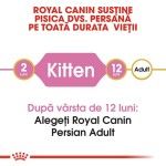 Royal Canin Persian Kitten - varsta