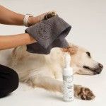 Set spuma curatare labute fara clatire + prosop microfibra Doctor Totolici, 200 ml (Igiena - Caini)