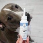 Solutie curatare ochi Doctor Totolici, 100 ml (Igiena - Caini)