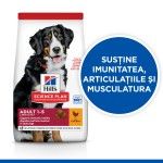 Hill's Science Plan Canine Adult Large Chicken Value Pack, 18 kg - sustine