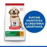 Hill's Science Plan Canine Puppy Large Breed Chicken Value Pack, 16 kg - sustine