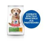 Hill's SP Canine Senior Vitality Small and Mini Chicken, 1.5 kg - contributie