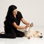 Set spuma curatare labute fara clatire + prosop microfibra Doctor Totolici, 200 ml (Igiena - Caini)