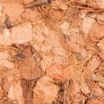 Substrat tropical cocos pentru terariu 4.5 l 76150