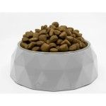 Superior Care Dry Grain Free With White Fish For Dogs of All Sizes and Life Stages With White Coat, 10 kg