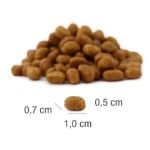 Hrana uscata pisici, PLATINUM Cat Sterilizat cu Peste, 3 kg (Hrana Uscata - Pisici)