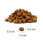 Hrana uscata pisici, PLATINUM Cat Junior cu Pui, 1.5 kg (Hrana Uscata - Caini)