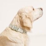 Zgarda Quick Release din policoton ultra-usoara Doctor Totolici, culoare Pastel Green, marimea S (Zgarzi)